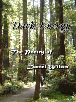 cover image of Dark Energy